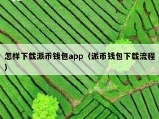怎样下载派币钱包app（派币钱包下载流程）