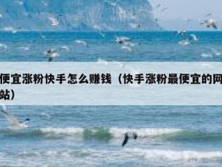便宜涨粉快手怎么赚钱（快手涨粉最便宜的网站）