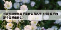 抖音粉丝粉丝牵手是什么意思呀（抖音牵手的那个音乐是什么）