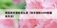 现在快手涨粉怎么涨（快手涨粉1000粉最快方法）