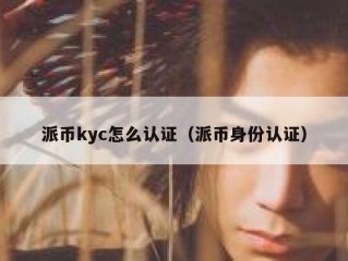 派币kyc怎么认证（派币身份认证）