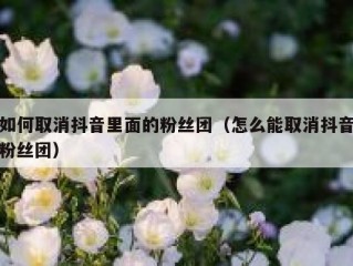 如何取消抖音里面的粉丝团（怎么能取消抖音粉丝团）