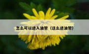怎么可以进入油管（这么进油管）