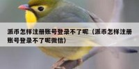 派币怎样注册账号登录不了呢（派币怎样注册账号登录不了呢微信）