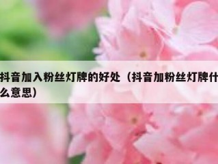 抖音加入粉丝灯牌的好处（抖音加粉丝灯牌什么意思）