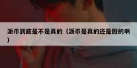 派币到底是不是真的（派币是真的还是假的啊）