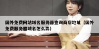 国外免费网站域名服务器查询商店地址（国外免费服务器域名怎么弄）