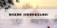 做抖音涨粉（抖音涨粉是怎么做的）