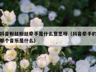 抖音粉丝粉丝牵手是什么意思呀（抖音牵手的那个音乐是什么）