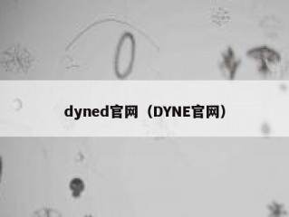 dyned官网（DYNE官网）
