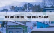 抖音涨粉丝有钱吗（抖音涨粉丝怎么收费）
