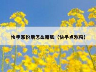 快手涨粉后怎么赚钱（快手点涨粉）