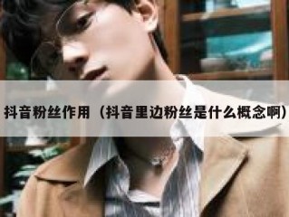 抖音粉丝作用（抖音里边粉丝是什么概念啊）