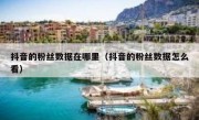 抖音的粉丝数据在哪里（抖音的粉丝数据怎么看）