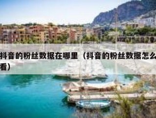 抖音的粉丝数据在哪里（抖音的粉丝数据怎么看）