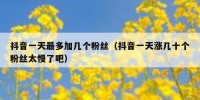 抖音一天最多加几个粉丝（抖音一天涨几十个粉丝太慢了吧）