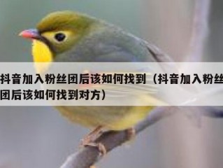 抖音加入粉丝团后该如何找到（抖音加入粉丝团后该如何找到对方）