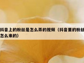 抖音上的粉丝是怎么弄的视频（抖音里的粉丝怎么来的）