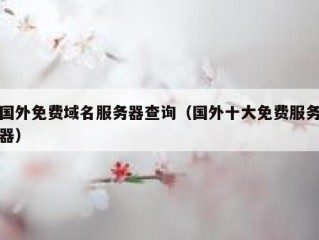 国外免费域名服务器查询（国外十大免费服务器）