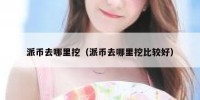 派币去哪里挖（派币去哪里挖比较好）