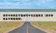 派币中审核名字是填写中文还是英文（派币审核名字教程视频）