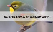 怎么在抖音里加粉丝（抖音怎么加粉丝操作）