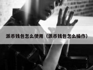 派币钱包怎么使用（派币钱包怎么操作）