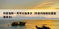 抖音加粉一天可以加多少（抖音抖加粉丝量能涨多少）