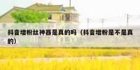 抖音增粉丝神器是真的吗（抖音增粉是不是真的）