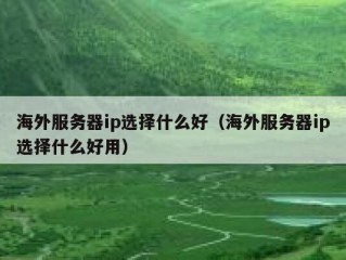 海外服务器ip选择什么好（海外服务器ip选择什么好用）