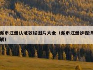 派币注册认证教程图片大全（派币注册步骤详解）