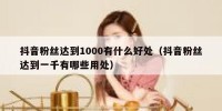 抖音粉丝达到1000有什么好处（抖音粉丝达到一千有哪些用处）