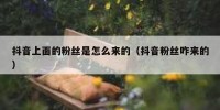 抖音上面的粉丝是怎么来的（抖音粉丝咋来的）