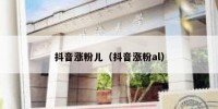 抖音涨粉儿（抖音涨粉al）