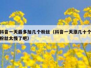 抖音一天最多加几个粉丝（抖音一天涨几十个粉丝太慢了吧）