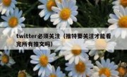 twitter必须关注（推特要关注才能看完所有推文吗）