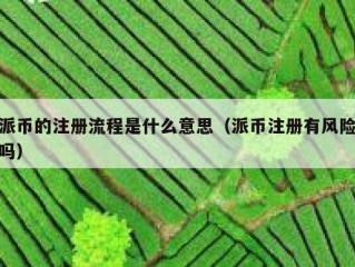 派币的注册流程是什么意思（派币注册有风险吗）