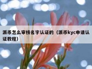 派币怎么审核名字认证的（派币kyc申请认证教程）