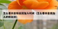 怎么看抖音粉丝团加入时间（怎么看抖音我加入的粉丝团）