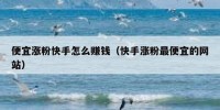 便宜涨粉快手怎么赚钱（快手涨粉最便宜的网站）