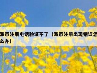 派币注册电话验证不了（派币注册出现错误怎么办）