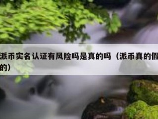 派币实名认证有风险吗是真的吗（派币真的假的）