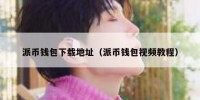 派币钱包下载地址（派币钱包视频教程）