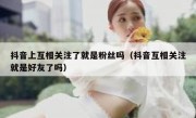 抖音上互相关注了就是粉丝吗（抖音互相关注就是好友了吗）