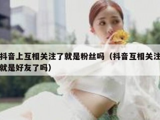 抖音上互相关注了就是粉丝吗（抖音互相关注就是好友了吗）
