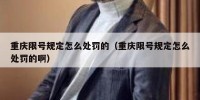 重庆限号规定怎么处罚的（重庆限号规定怎么处罚的啊）