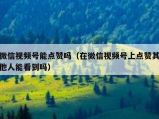 微信视频号能点赞吗（在微信视频号上点赞其他人能看到吗）