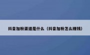 抖音加粉渠道是什么（抖音加粉怎么赚钱）