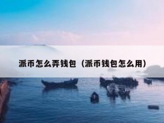 派币怎么弄钱包（派币钱包怎么用）