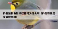 抖音加粉会影响权重吗为什么呢（抖加粉丝是有效粉丝吗）